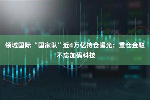 领域国际 “国家队”近4万亿持仓曝光:重仓金融 不忘加码科技